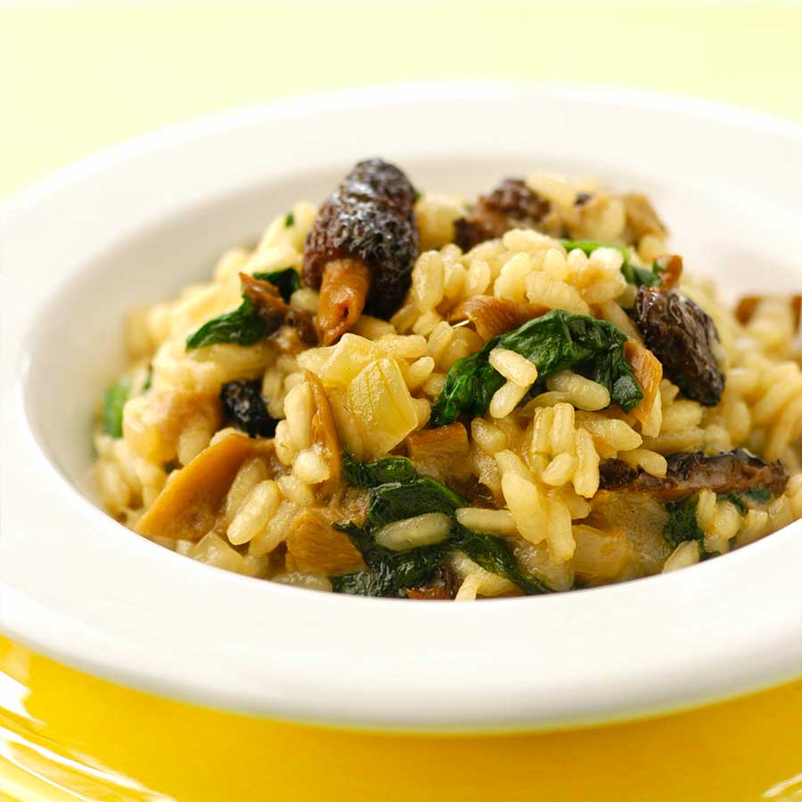Risotto aux morilles